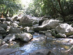 234 Mossman Gorge